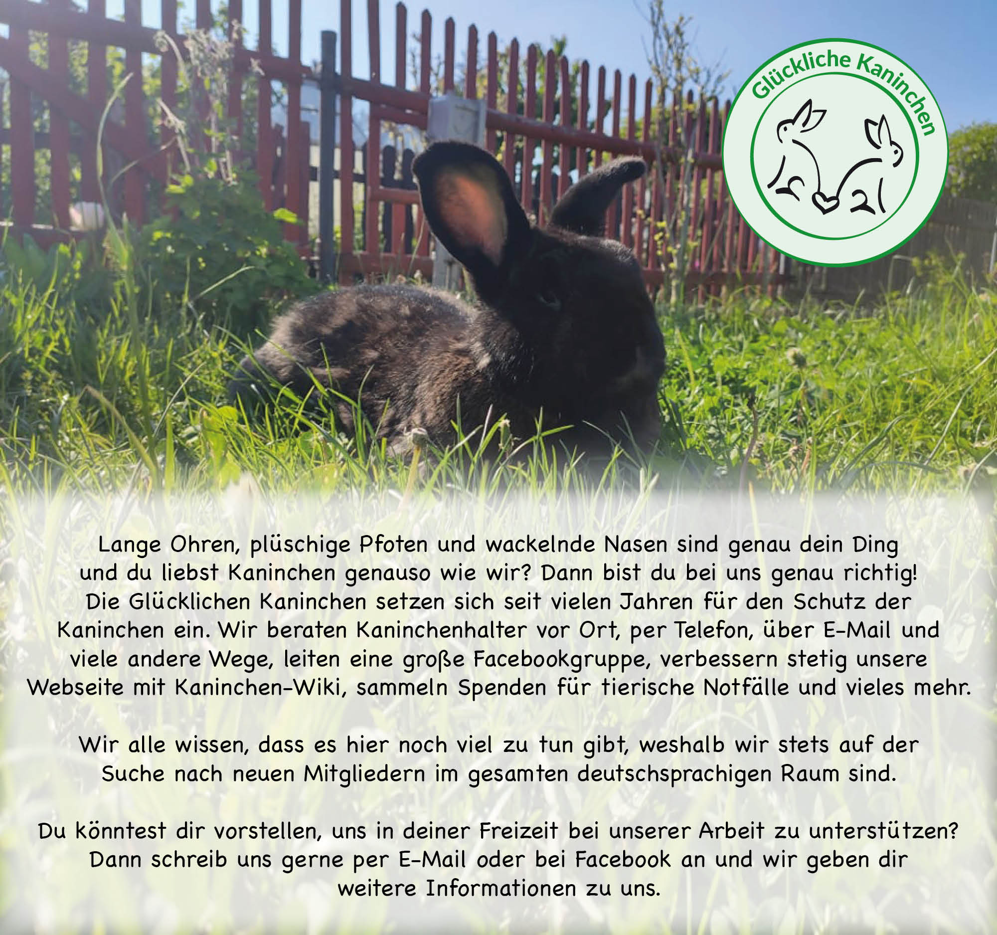 Kaninchen-Blog | Glückliche Kaninchen
