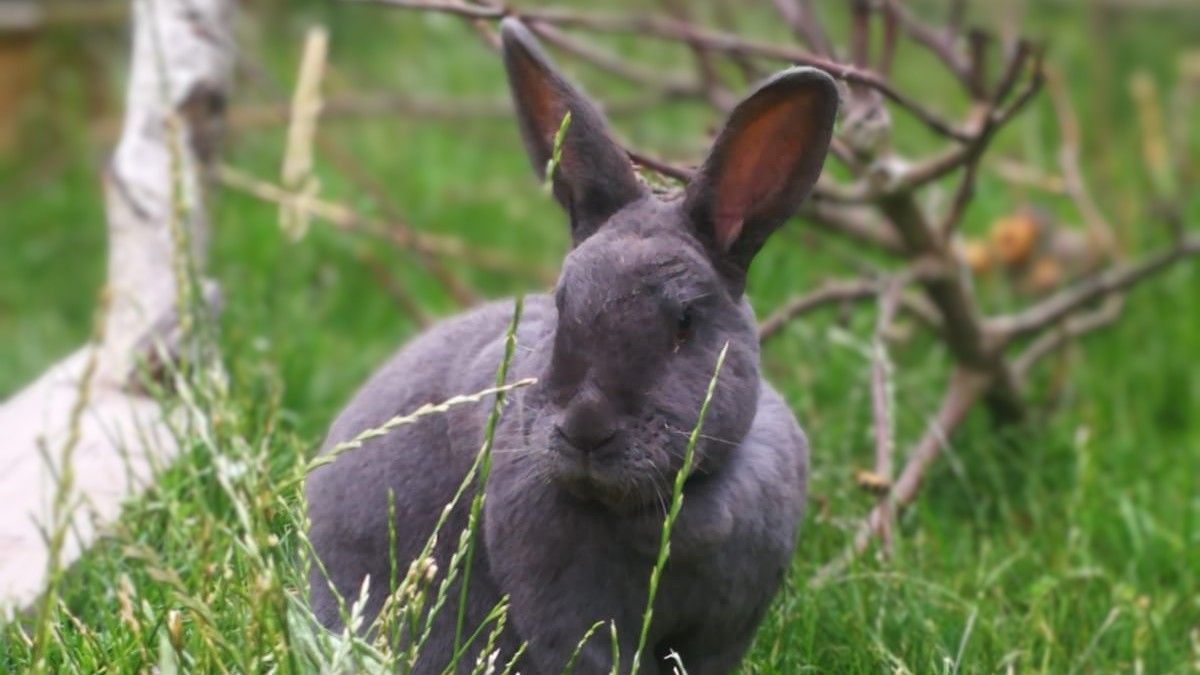 08.10.2022 – Stammtisch in Braunschweig